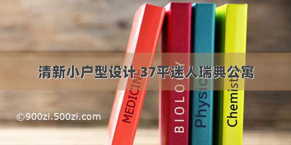 清新小户型设计 37平迷人瑞典公寓