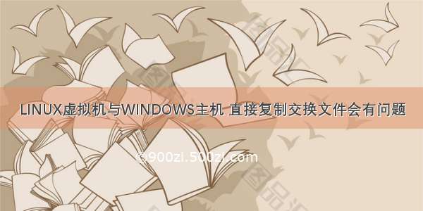 LINUX虚拟机与WINDOWS主机 直接复制交换文件会有问题