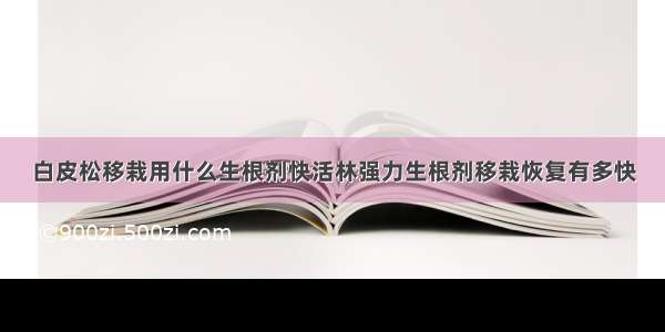 白皮松移栽用什么生根剂快活林强力生根剂移栽恢复有多快