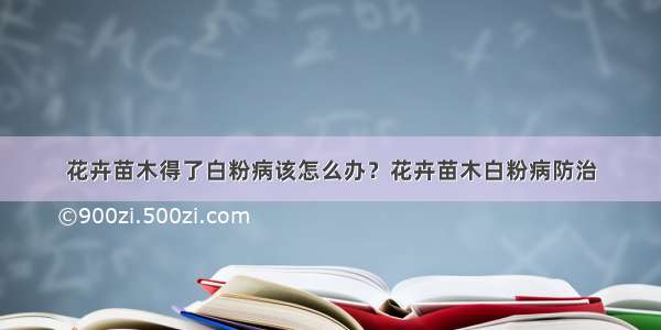 花卉苗木得了白粉病该怎么办？花卉苗木白粉病防治