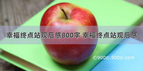 幸福终点站观后感800字 幸福终点站观后感