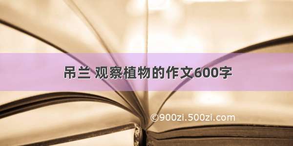 吊兰 观察植物的作文600字