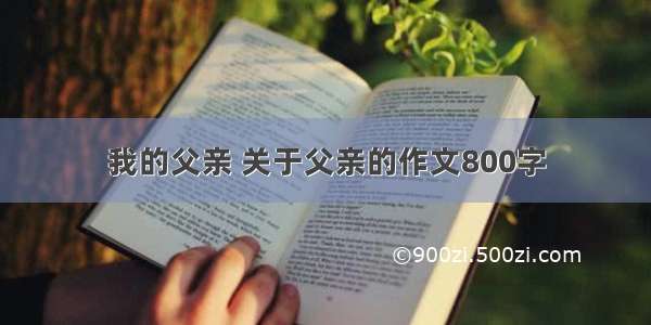 我的父亲 关于父亲的作文800字