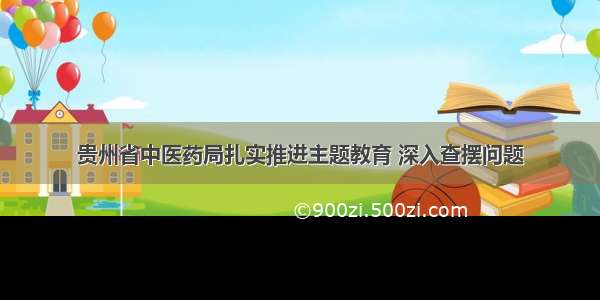 贵州省中医药局扎实推进主题教育 深入查摆问题