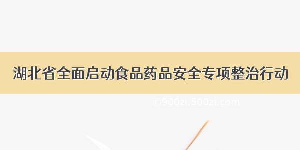 湖北省全面启动食品药品安全专项整治行动