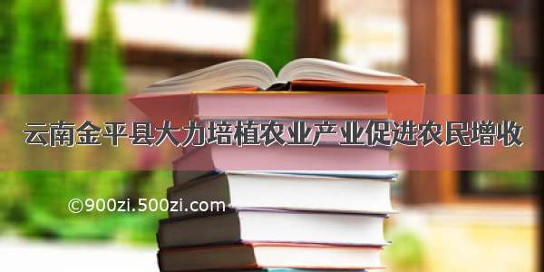 云南金平县大力培植农业产业促进农民增收