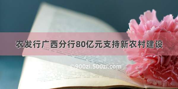 农发行广西分行80亿元支持新农村建设