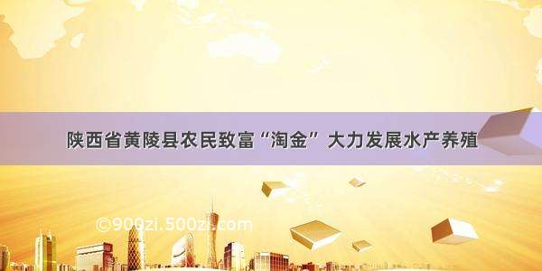 陕西省黄陵县农民致富“淘金” 大力发展水产养殖