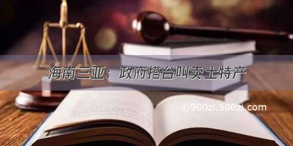 海南三亚：政府搭台叫卖土特产