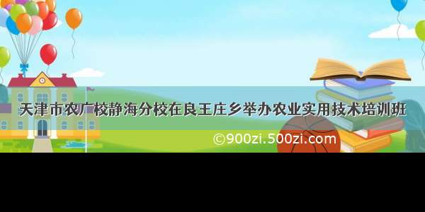 天津市农广校静海分校在良王庄乡举办农业实用技术培训班