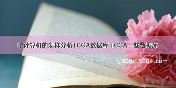 学计算机的怎样分析TCGA数据库 TCGA一些数据库