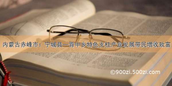 内蒙古赤峰市：宁城县一肯中乡特色支柱产业发展带民增收致富