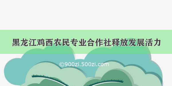 黑龙江鸡西农民专业合作社释放发展活力
