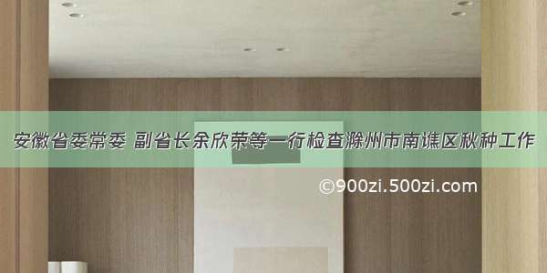 安徽省委常委 副省长余欣荣等一行检查滁州市南谯区秋种工作