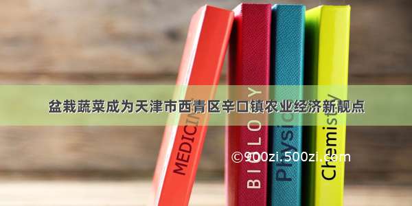 盆栽蔬菜成为天津市西青区辛口镇农业经济新靓点