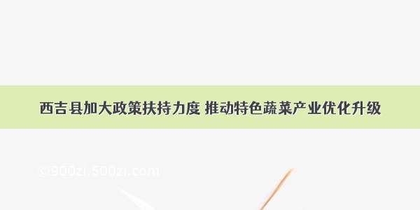 西吉县加大政策扶持力度 推动特色蔬菜产业优化升级