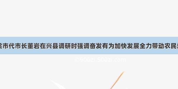 山西吕梁市代市长董岩在兴县调研时强调奋发有为加快发展全力带动农民增收致富