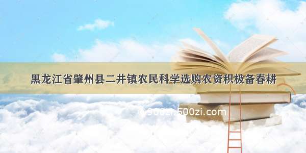 黑龙江省肇州县二井镇农民科学选购农资积极备春耕