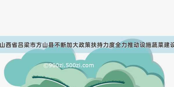 山西省吕梁市方山县不断加大政策扶持力度全力推动设施蔬菜建设