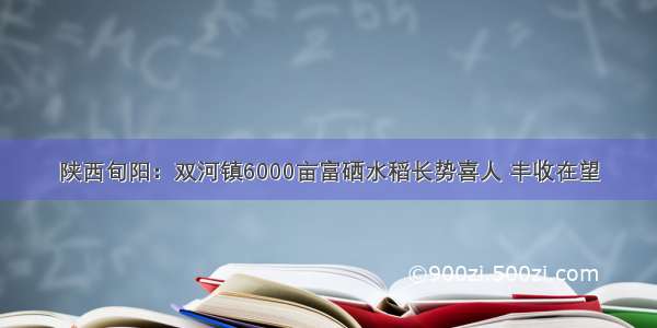 陕西旬阳：双河镇6000亩富硒水稻长势喜人 丰收在望