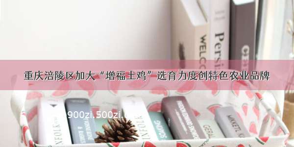 重庆涪陵区加大“增福土鸡”选育力度创特色农业品牌