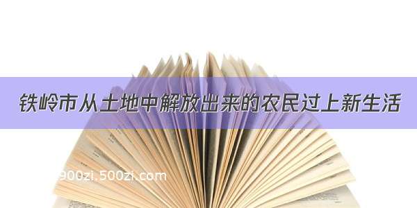 铁岭市从土地中解放出来的农民过上新生活