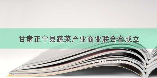 甘肃正宁县蔬菜产业商业联合会成立