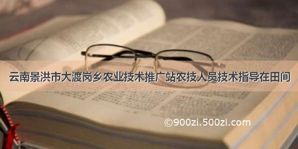 云南景洪市大渡岗乡农业技术推广站农技人员技术指导在田间