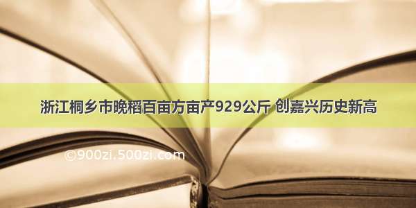 浙江桐乡市晚稻百亩方亩产929公斤 创嘉兴历史新高