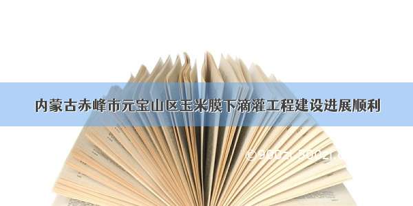 内蒙古赤峰市元宝山区玉米膜下滴灌工程建设进展顺利