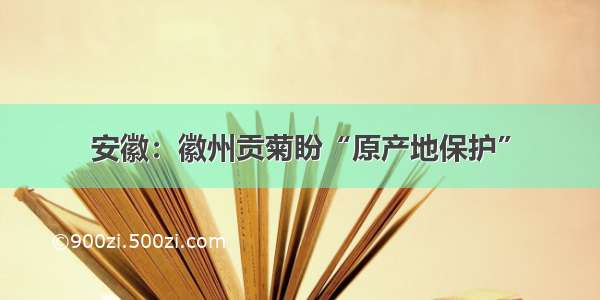 安徽：徽州贡菊盼“原产地保护”