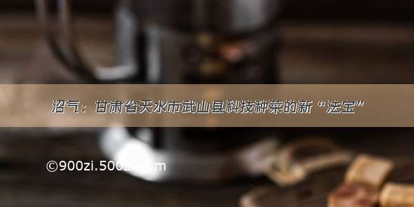 沼气：甘肃省天水市武山县科技种菜的新“法宝”