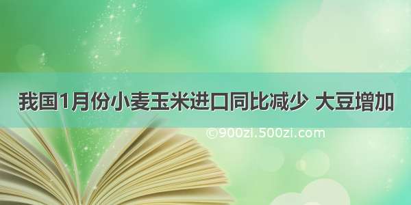 我国1月份小麦玉米进口同比减少 大豆增加