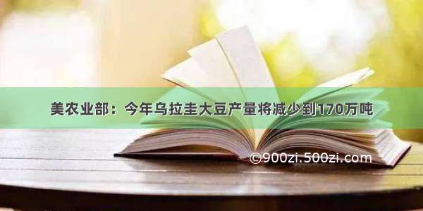 美农业部：今年乌拉圭大豆产量将减少到170万吨