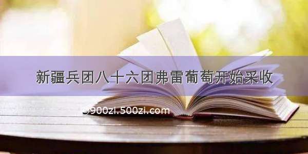 新疆兵团八十六团弗雷葡萄开始采收