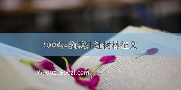 900字的湛江红树林征文