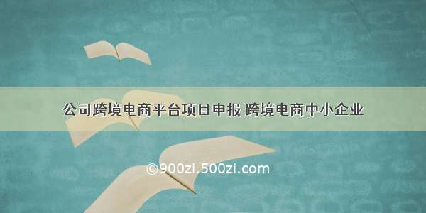 公司跨境电商平台项目申报 跨境电商中小企业