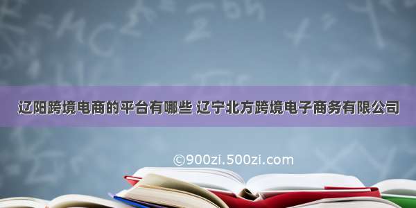 辽阳跨境电商的平台有哪些 辽宁北方跨境电子商务有限公司