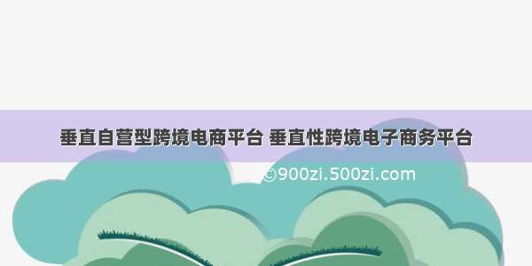 垂直自营型跨境电商平台 垂直性跨境电子商务平台