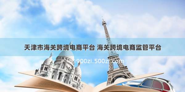 天津市海关跨境电商平台 海关跨境电商监管平台