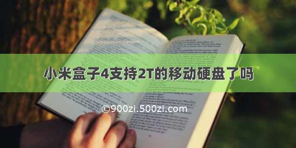 小米盒子4支持2T的移动硬盘了吗