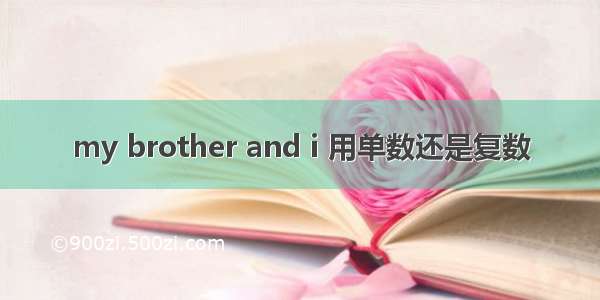 my brother and i 用单数还是复数