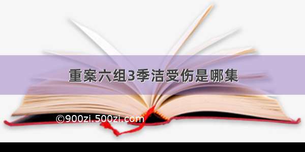 重案六组3季洁受伤是哪集