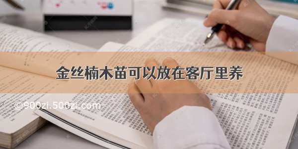 金丝楠木苗可以放在客厅里养