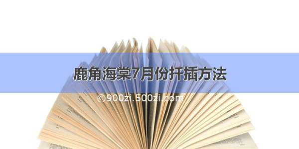 鹿角海棠7月份扦插方法