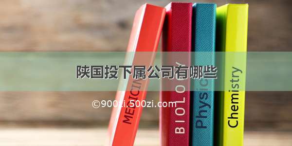 陕国投下属公司有哪些