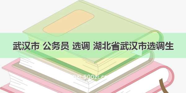 武汉市 公务员 选调 湖北省武汉市选调生