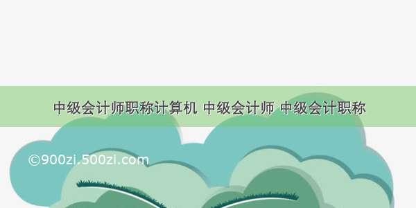 中级会计师职称计算机 中级会计师 中级会计职称