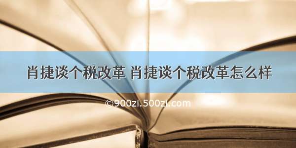 肖捷谈个税改革 肖捷谈个税改革怎么样