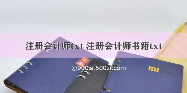 注册会计师txt 注册会计师书籍txt